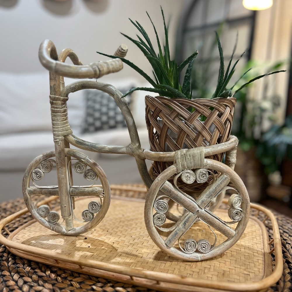 Boho Rattan Tricycle Planter